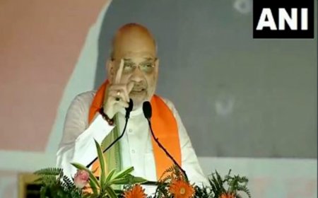 Haryana Elections 2024: Nayab Singh Saini is only CM who pays MSP on 24 crops, says Amit Shah