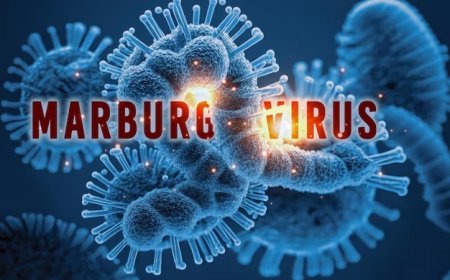 Marburg virus outbreak: 6 died in Rwanda, what is this deadly infection? Should India be concerned?
