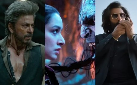 This Hindi film has earned Rs 200 crore before its release, it’s not Stree 2, Animal, Jawan, Pathaan