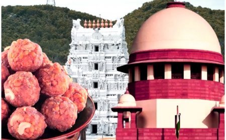 Tirupati Laddu Row: Big development as Andhra Pradesh government stops SIT probe until…