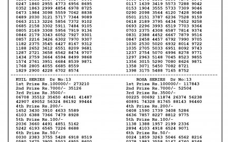 Bodoland lottery result today(01-10-2024): Assam state lucky draw result(declared); Check winners list, ticket number