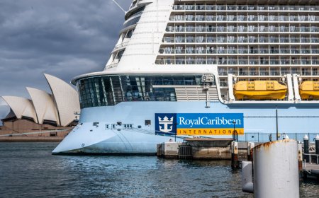 Royal Caribbean shares key warning on how to not lose money