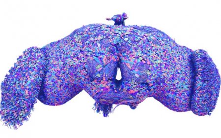 Scientists have traced all 54.5 million connections in a fruit fly’s brain