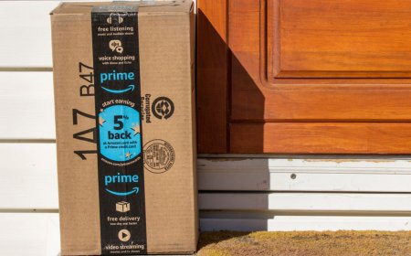 Amazon Prime members can score this 'majestic' reversible micromink and sherpa comforter set for only $30