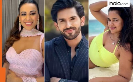 Bigg Boss 18 confirmed contestants: Nia Sharma, Dheeraj Dhoopar, Shehzada Dhami, Sameera Reddy, other popular names set to enter Salman Khan’s show– check full list