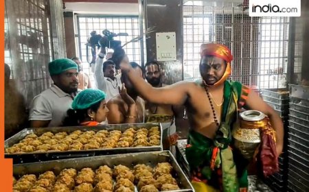Tirupati Laddu row: SC forms independent SIT to probe claims of use of animal fat in making Tirupati laddus