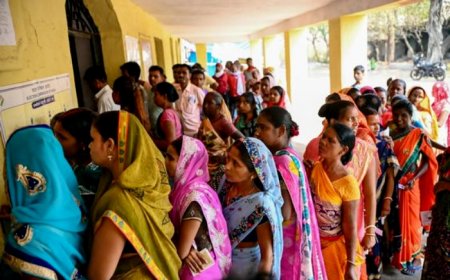 Gurgaon Assembly Election 2024: Check full schedule, candidates list and result date