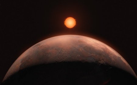 Barnard’s star has at least one planet orbiting it after all