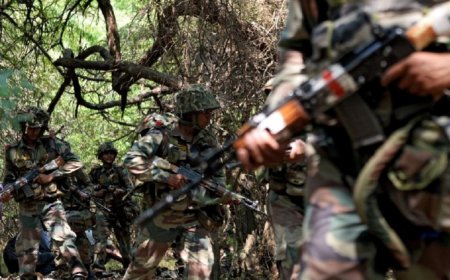 Chhattisgarh: 32 Naxals killed at Narayanpur-Dantewada border in police encounter
