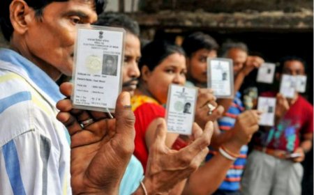 Garhi Sampla-Kiloi Assembly Elections 2024: Check full schedule, candidates list and result date