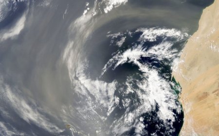 A transatlantic flight may turn Saharan dust into a key ocean nutrient