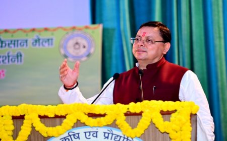 Haryana Assembly Elections 2024: Uttarakhand CM Dhami appeals people to cast vote