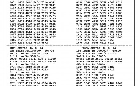 Bodoland lottery result today(05-10-2024): Assam state lucky draw result(declared); Check winners list, ticket number
