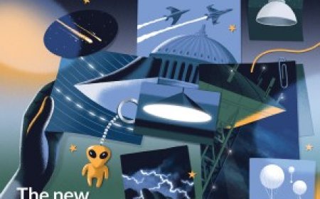 Readers discuss the psychedelic psilocybin, frogs and UFOs