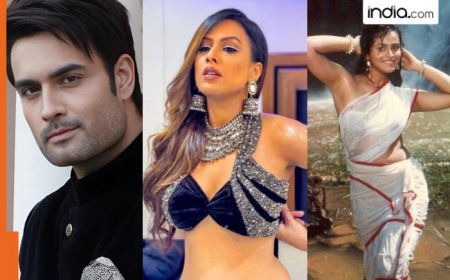 Bigg Boss 18: Nia Sharma, Vivian Dsena, Shilpa Shirodkar, here’s a full list of confirmed contestants for Salman Khan’s reality show