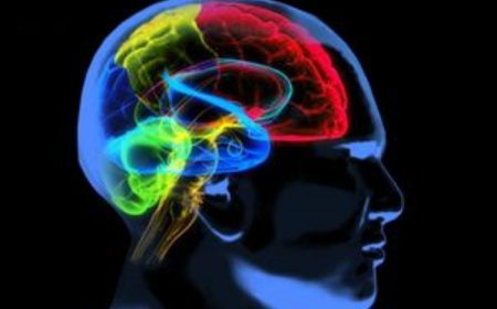 Study shows pattern of brain shrinkage varies between Alzheimer’s patients