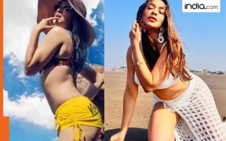 Meet actress set to rule hearts in Bigg Boss 18, worked in TV serials, expected to bring 400 pairs of clothes in reality show, her name is…