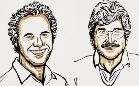 The discovery of microRNA wins the 2024 physiology Nobel Prize