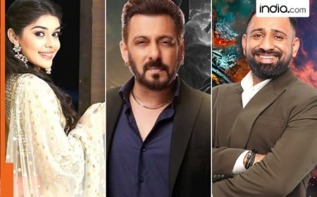 Bigg Boss 18: Rajat Dalal, Eisha Singh, Vivian Dsena, Nyrraa Banerjii, Karan Veer Mehra, other popular celebs enter time ka tandav season, check complete contestant list