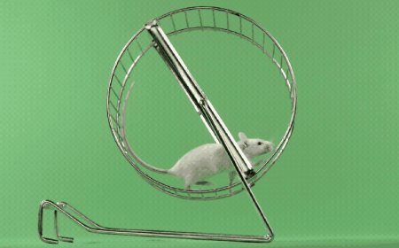 Semaglutide saps mice’s motivation to run