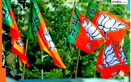 Haryana Assembly Elections Results: BJP takes decisive lead over Congress in 48 seats