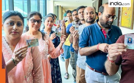 Shahbad, Thanesar, Pehowa, Kurukshetra Assembly Election Results LIVE: Check Party Wise Key Candidates Winners or Losers in Haryana Election 2024