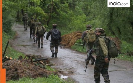 Terrorists abduct 2 Army Jawans from J&K’s Anantnag; one returns, massive search op launched for 2nd