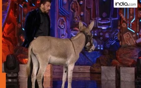 Bigg Boss 18: PETA Criticises Use of Donkey on Salman Khan Show, Demands Animal-Free Entertainment