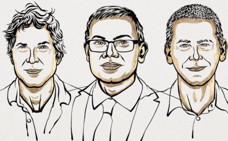 Work on protein structure and design wins the 2024 chemistry Nobel