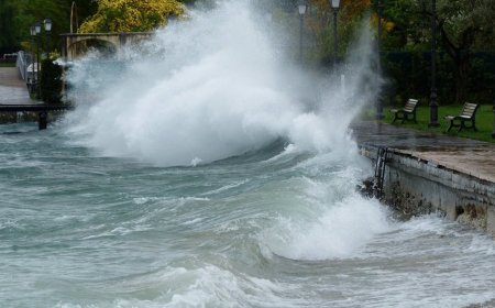 Live: Royal Caribbean meteorologist shares Hurricane Milton news