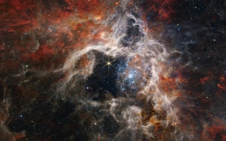 Runaway stars could influence the cosmos far past their home galaxies