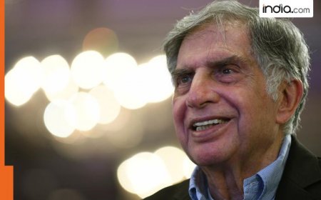 Ratan Tata dies: Tata Sons Chairman N Chandrasekaran says this about late industrialist