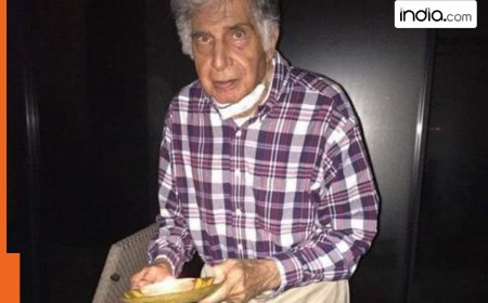 Ratan Tata mocked Bollywood movies for using more ketchup than…: ‘Very irritating’