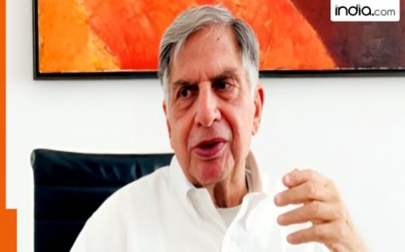 Ratan Tata death: Air India, Vistara make inflight announcements paying tribute Tata Group Chairman Emeritus