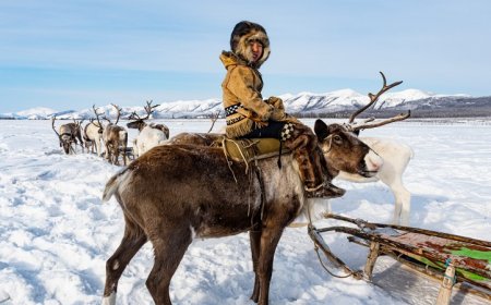 Navigation research often excludes the environment. That’s starting to change